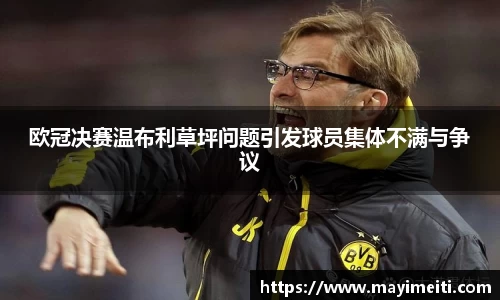 77体育在线直播官网